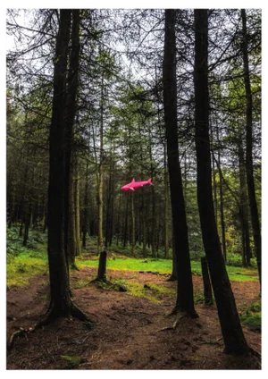 Liam Hopkins, Flying Shark 02, Photographic Print