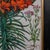 Glass Pair of Vintage Botanical Pictures, Framed Print, After Besler, Art, Circa 1980 For Sale - Image 7 of 12