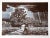 John Sherrill Houser "Storm Clouds" Lithograph For Sale