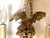 Gold Early 20th C. Hand Carved Continental Parcel Gilt Eagle Motif Wall Sconces - A Pair For Sale - Image 8 of 11