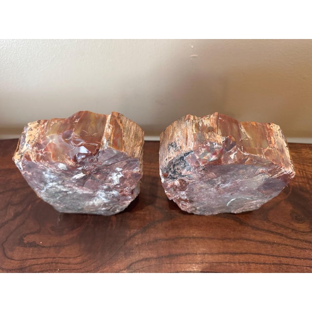 1970s Large Vintage Petrified Wood Symmetrical Bookends With Reds, Browns, Whites, Grays For Sale - Image 5 of 10