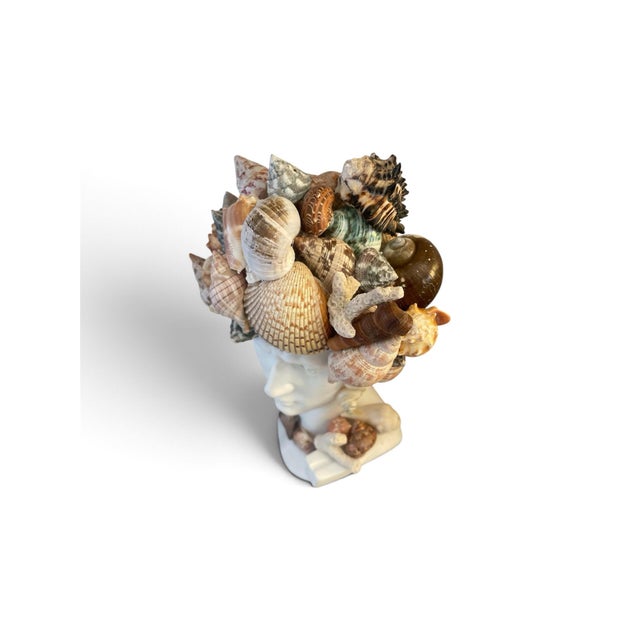 Grand Tour Style Shell-Encrusted Bust of David | Chairish