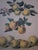 Bountiful Fruit - 4 Prints Mounted and Framed For Sale - Image 10 of 12
