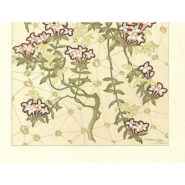 Art Nouveau C1900 French Art Nouveau Botanical Design Chromolithograph, Beech Creeper by Habert Dys For Sale - Image 3 of 4