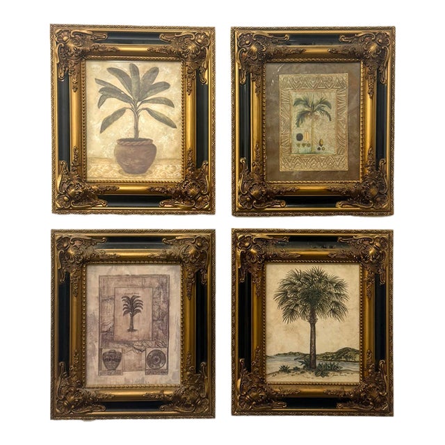 Vintage Coastal Framed Palm Lithographs - Set of 4 For Sale