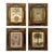 Vintage Coastal Framed Palm Lithographs - Set of 4 For Sale