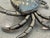 Coastal Silver Crab Salt and Pepper Shakers - Set of 2 For Sale - Image 3 of 12