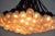 Chandelier 85 Lamp by Rody Graumans for Droog, 1995 For Sale - Image 10 of 11
