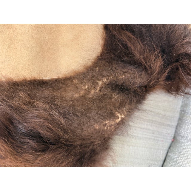 Brown 6ft 8in × 8ft Buffalo Pelt, Winter Woolly For Sale - Image 8 of 12