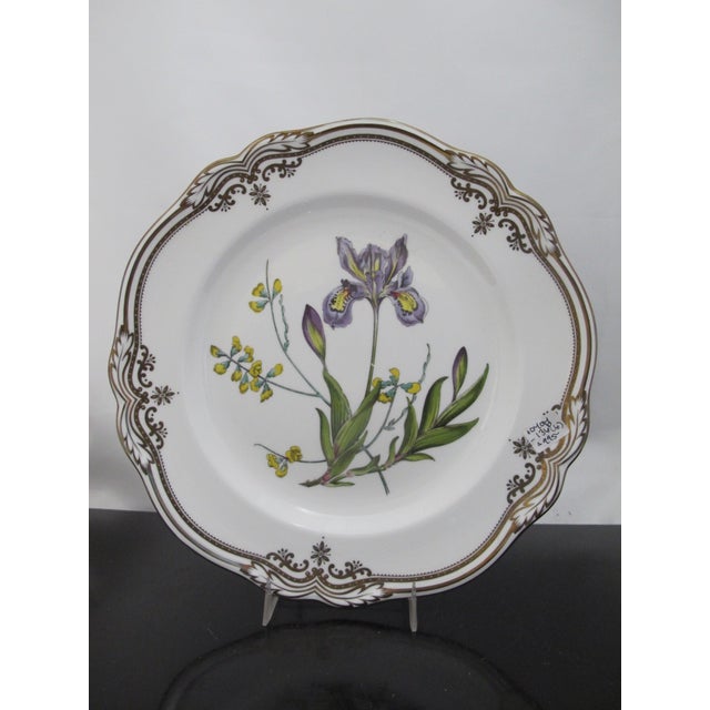 Gorgeous Spode Stafford Flowers dinner plate in Iris and Sphaerolobium pattern. Intricately hand painted flower center in...