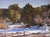 Winter Sunlight and Shadows by Stephen Day | Oil Painting of a winter landscape with trees and shadows For Sale