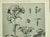 1900 - 1909 1902 -Set of 3 Antique French Botanicals- Ivy, Fushia, Sweet William, Documentation For Sale - Image 5 of 14