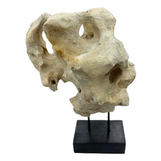 Indonesian Coral Stone On Teak Stand For Sale