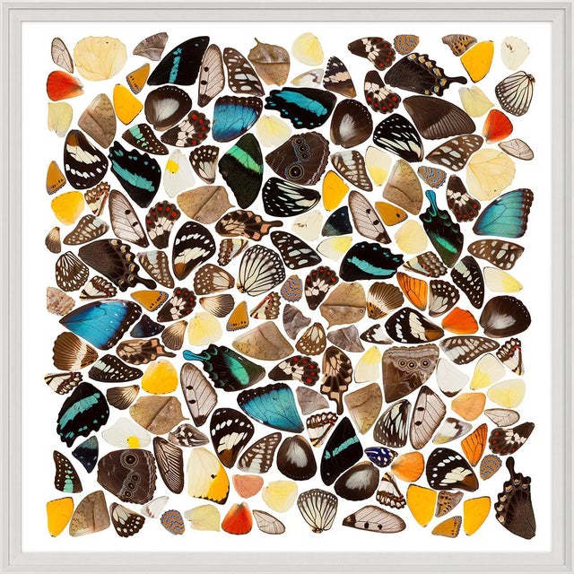 Metamorphic, Square, Framed Artwork For Sale