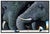 Realism Majestic Trunks, Ferjo For Sale - Image 3 of 5