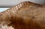 Wood Folk Wood Carved Fruit Bowl, Provence, 1960s For Sale - Image 7 of 11