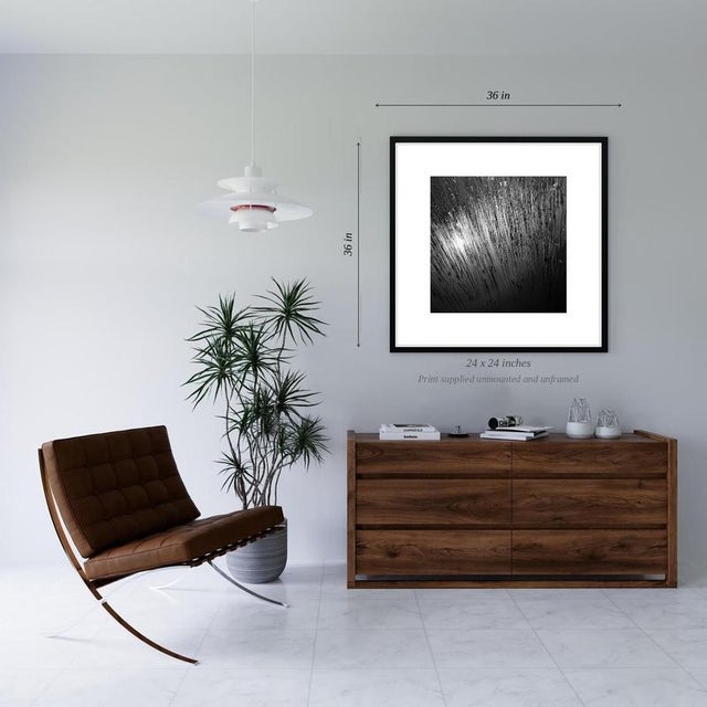 Contemporary Paul Cooklin, Water Reeds, Lopham Fen, Suffolk, Edition of 50 For Sale - Image 3 of 6