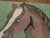 Mid 20th Century Vintage American Hooked Horse Rug - 1'9" x 2'11" For Sale - Image 5 of 6