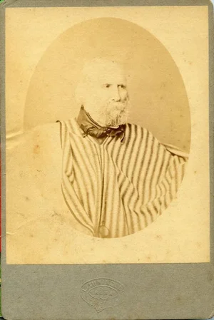 Portrait of Garibaldi, 1874, Albumen Print