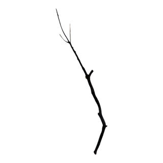 Primitive Terra Lampada Rustic Valley VDG Wall Sculpture Lamp For Sale