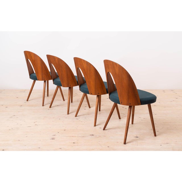 Mid-Century Modern Dining Chairs by A. Šuman, 1960s, Set of 14 For Sale - Image 4 of 18