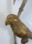 1970s Vintage Hollywood Regency Palm Tree Parrot Table Lamp For Sale - Image 5 of 12