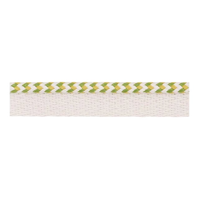 Sample - Schumacher Bolander Cord Indoor & Outdoor in Leaf For Sale