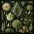 Dark Green Set of 15 - 90' X 54' Evergreen Organic Modern Gallery Wall Installation Botanical Prints - Dark Green, Unframed For Sale - Image 8 of 17