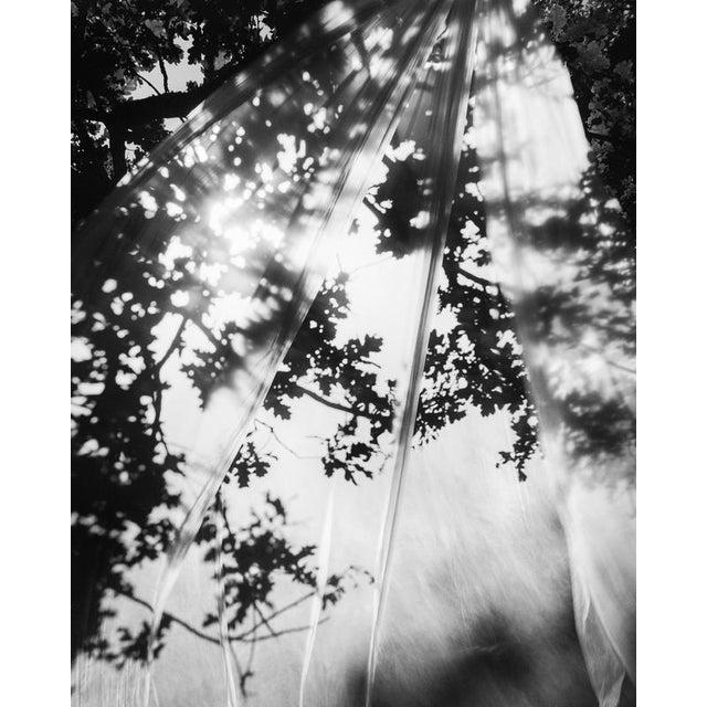 Early 21st Century Ugne Pouwell, Daydream, 2022, Photography For Sale - Image 5 of 5