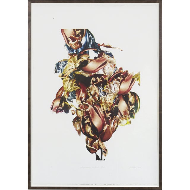 Renata Kudlacek, Metamorphosis Naturalis - Tulip I (2018), Four color screen-print on Bütten paper, 70 × 48 cm This piece...