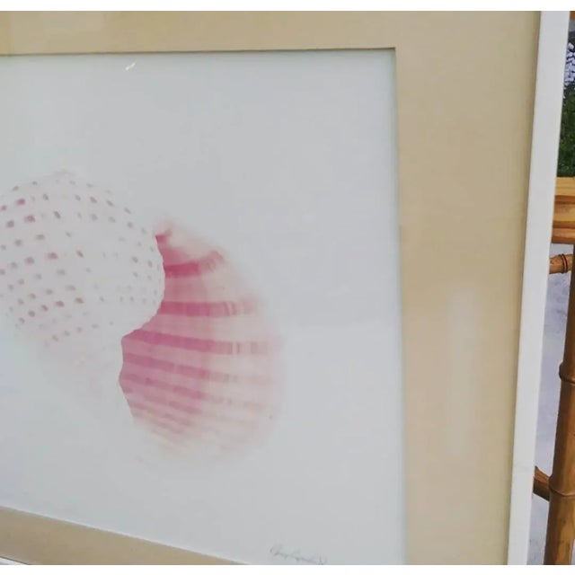 Vintage Greg Copeland Large Coastal Seashell Framed Signed Painting For Sale In West Palm - Image 6 of 7