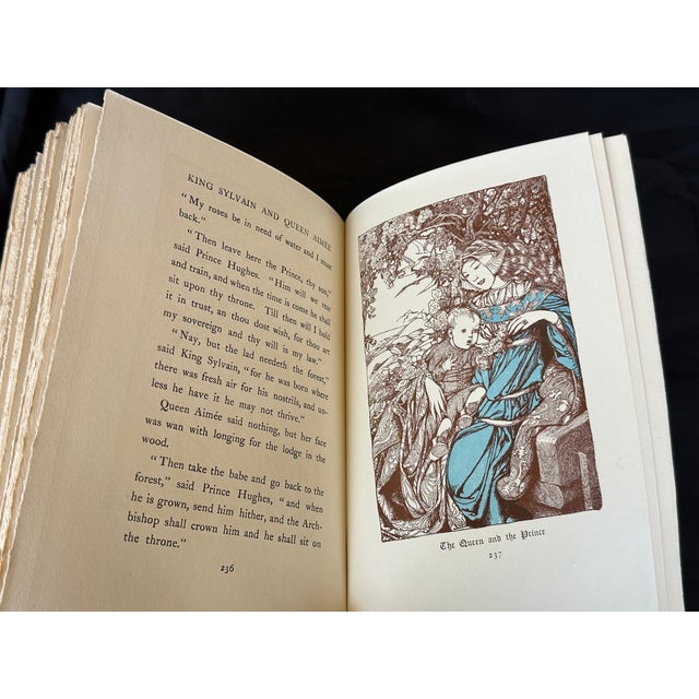 Decorative Antique Art Nouveau Book For Sale - Image 17 of 18