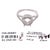 18 Karat White Gold Round Engagement Ring Setting Diamond Halo and Two Row Band For Sale - Image 10 of 11