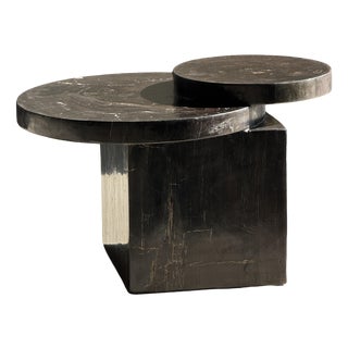 Coffee Table in Brown Petrified Wood with Double Circular Top on Cubic Base, Indonesia, 1980s For Sale