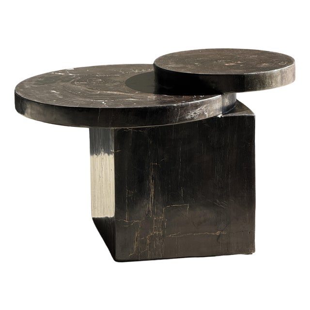 Coffee Table in Brown Petrified Wood with Double Circular Top on Cubic Base, Indonesia, 1980s For Sale