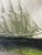 1970s Pair of 1970s Framed Sailboat Prints For Sale - Image 5 of 9