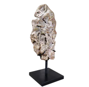 Organic Modern Fossil Scholar Stone