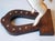 Mid 20th Century French Decorative Horse in Moleskin with Saddle and Harness, 20th Century For Sale - Image 5 of 16