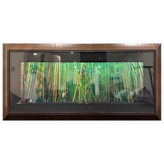 2000 - 2009 Peter Lik “Bamboo” | Limited Edition Fine Art Photograph | Signed & Numbered | Coa For Sale - Image 5 of 12