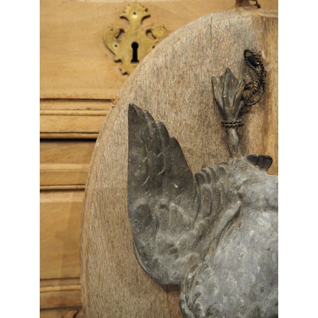 Pair of Circa 1890 Weathered French Hunt Trophies on Natural Oak Oval Panels For Sale - Image 15 of 18