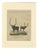 Bertuch, African Sanga Longhorn Cattle, 1810, Engraving For Sale