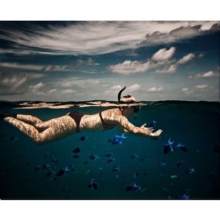 "Snorkeling in the Indian Ocean," Photo 40" X 32" For Sale