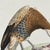 1828 French Raptor Gallery by Jean-Charles Werner | Set of 6 Hand-Colored Lithographs, Framed For Sale - Image 10 of 12
