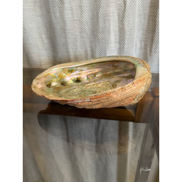 Nautical Red Abalone Shell For Sale - Image 3 of 4