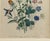 Mid 19th Century Jane Wells Loudon Botanical Prints Framed - a Pair For Sale - Image 11 of 12