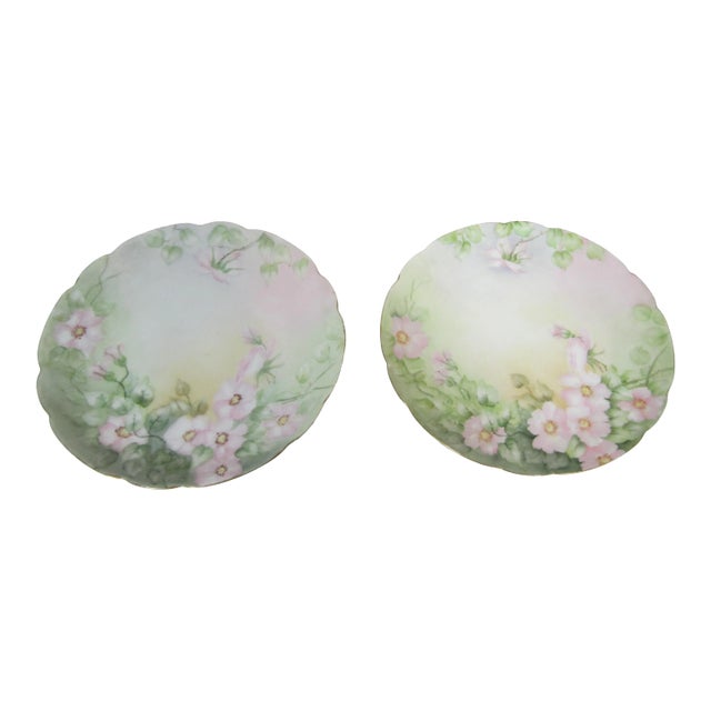 Victorian Hand Painted Porcelain Plates - Set of 2 For Sale