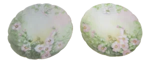 Victorian Hand Painted Porcelain Plates - Set of 2