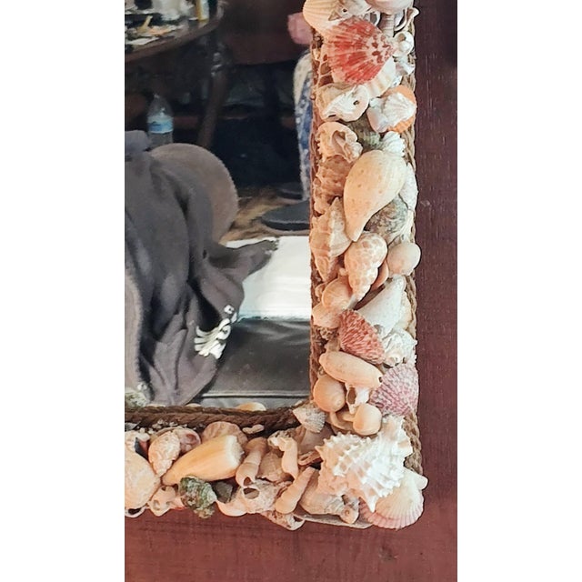 2020s Custom Artisan Seashell Mirror - Handcrafted Ca Coastal Statement Piece For Sale - Image 5 of 11