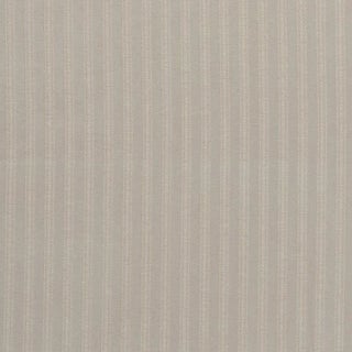 Schumacher Zelda Stripe Fabric in Platinum For Sale