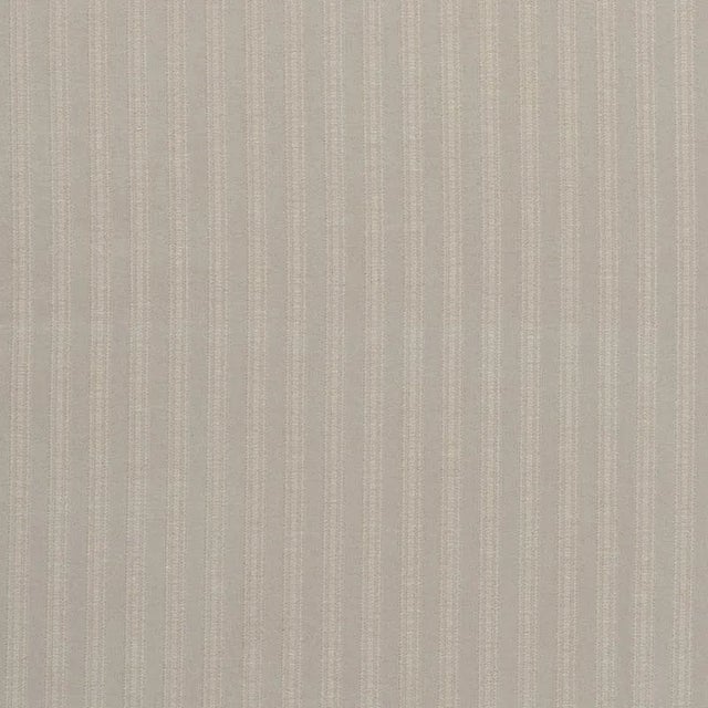 Schumacher Zelda Stripe Fabric in Platinum For Sale